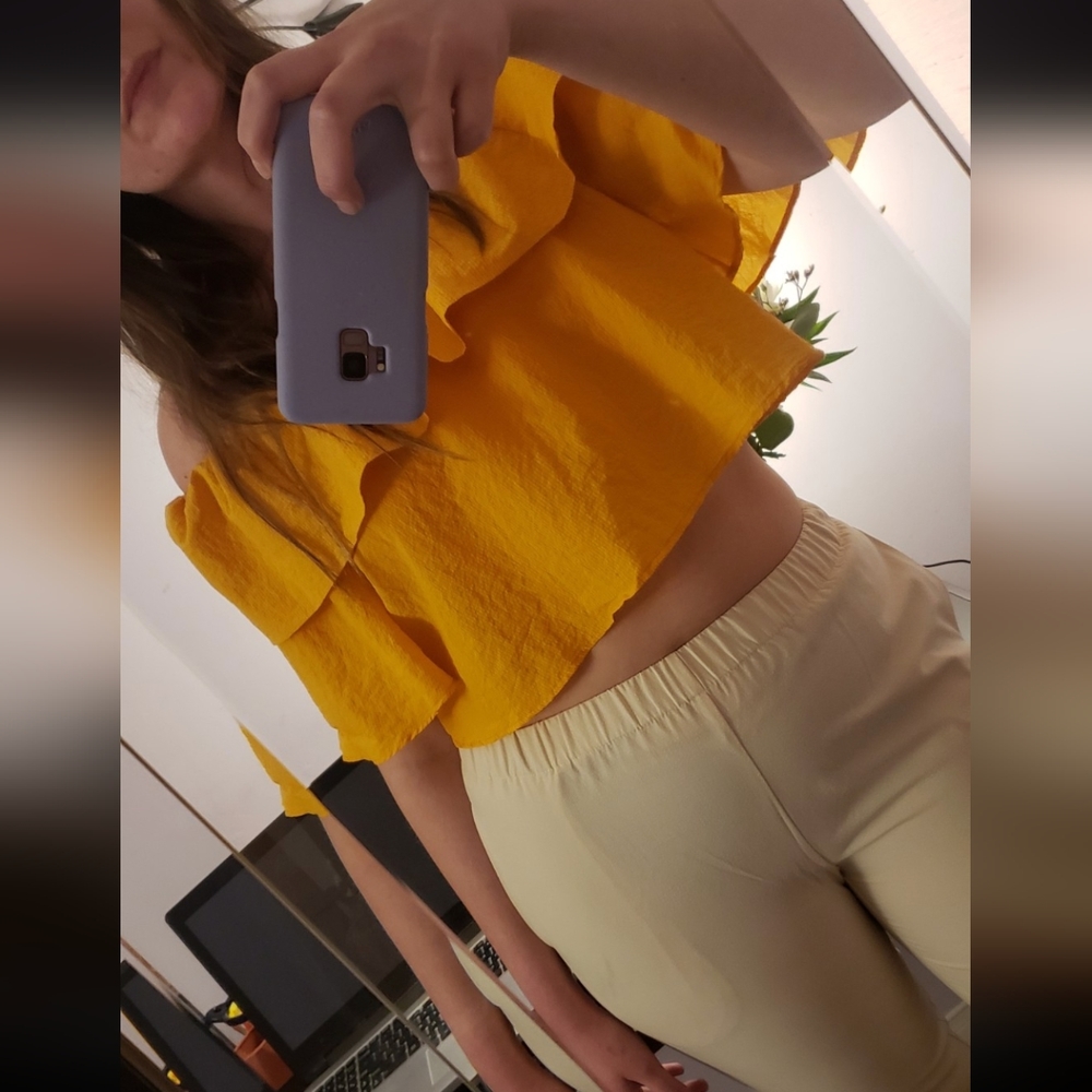 Zara cropped top
